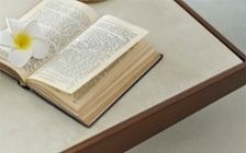 No.295 大人のハワイインテリア。海色が映えるワンルーム：画像26