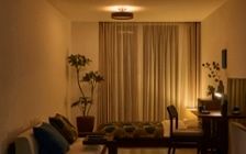 No.305：ブルー×ホワイトの清涼感。8畳で叶える爽やかなくつろぎ：画像16