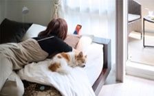 No.311：1LDKを広く使う。ソファダイニングで過ごすおうち時間：画像11