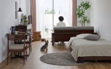 No.318：犬が喜ぶ最適な空間。ワンルーム10畳の快適ライフ：画像1