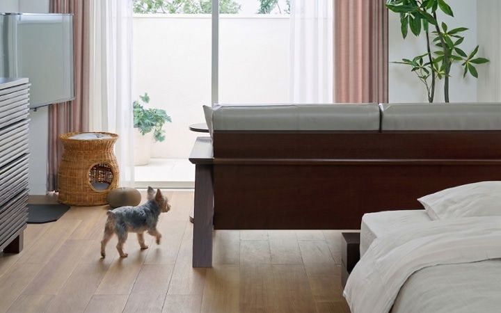 No.318：犬が喜ぶ最適な空間。ワンルーム10畳の快適ライフ：画像10
