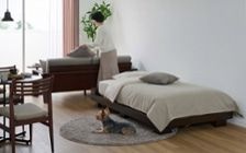 No.318：犬が喜ぶ最適な空間。ワンルーム10畳の快適ライフ：画像15