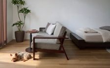 No.318：犬が喜ぶ最適な空間。ワンルーム10畳の快適ライフ：画像21