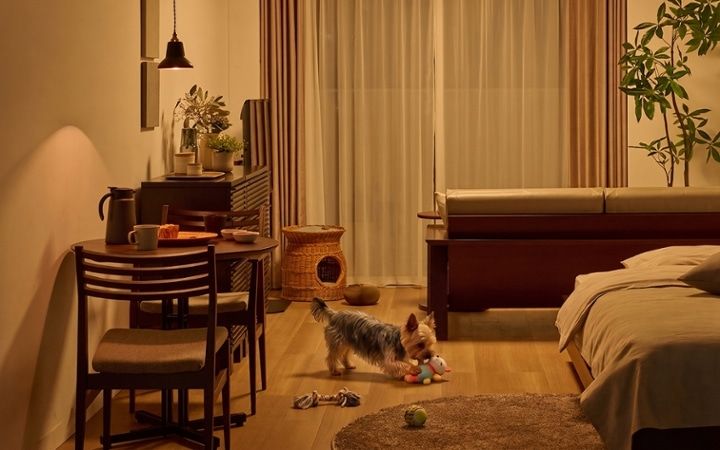 No.318：犬が喜ぶ最適な空間。ワンルーム10畳の快適ライフ：画像13