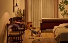 No.318：犬が喜ぶ最適な空間。ワンルーム10畳の快適ライフ：画像13