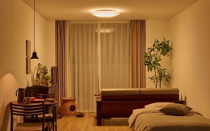 No.318：犬が喜ぶ最適な空間。ワンルーム10畳の快適ライフ：画像12