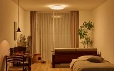 No.318：犬が喜ぶ最適な空間。ワンルーム10畳の快適ライフ：画像12