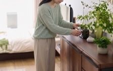 No.353：緑に包まれて暮らす。心がゆるむボタニカルな空間：画像3