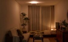 No.353：緑に包まれて暮らす。心がゆるむボタニカルな空間：画像13